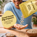 Premium Sunflower Seeds