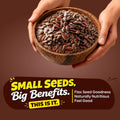Organic Raw Flax Seeds, Alsi Beej