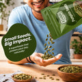 Pumpkin Seeds, Premium Quality