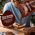 Organic Raw Flax Seeds, Alsi Beej